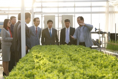 FLC - Farmdo bắt tay làm nông nghiệp và duyên cầu nối từ vị Đại sứ