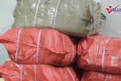 Bắt giữ 1 tấn bao bì mì chính, bột canh giả các nhãn hiệu lớn