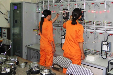 Thực hành tốt 5S tại Công ty Điện lực Quảng Ninh đem lại nhiều lợi ích