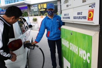 Kiểm tra các thương nhân đầu mối, phân phối xăng E5