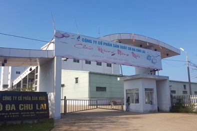 Nhà máy nghìn tỷ 'đắp chiếu': Thủ tướng yêu cầu làm rõ