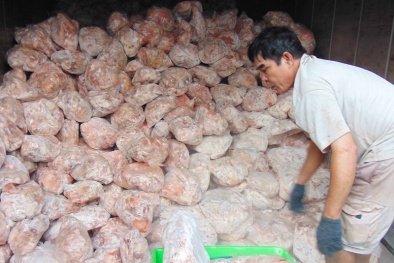 Hàng chục tấn phụ phẩm heo không rõ nguồn gốc 'suýt' biến thành giò lụa