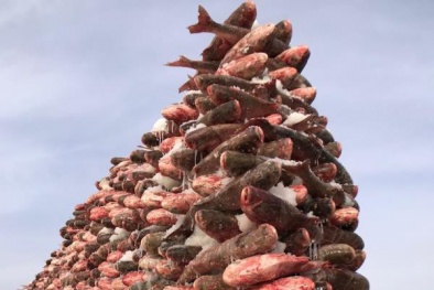 Bức tường kỳ lạ được xây bằng 2.000 con cá giữa hồ băng 'thần thánh'