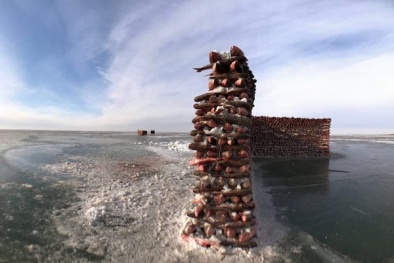 Video: Kinh ngạc bức tường xây bằng 2000 con cá giữa hồ băng