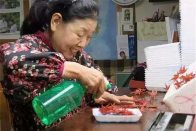 Vì sao chỉ nhờ bán lá cây, cụ bà lại kiếm ‘khủng’ 52 tỷ đồng/năm?
