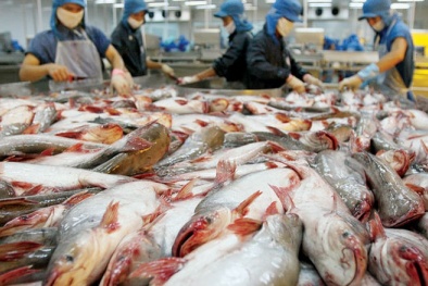 Khẩn trương khắc phục 'thẻ vàng', tạo điều kiện cho thủy sản Việt 'xuất ngoại'