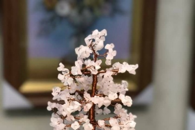 2 loại cây tài lộc giá tiền triệu ‘hút khách’ dịp Tết Mậu Tuất 2018