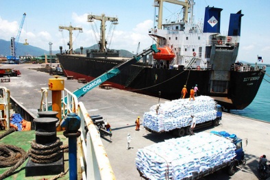 Bí thư Bình Định muốn 'đòi' lại cảng Quy Nhơn cho Nhà nước