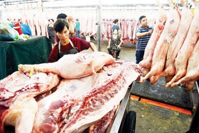 Giá heo lại giảm, dự báo khó tăng trước Tết
