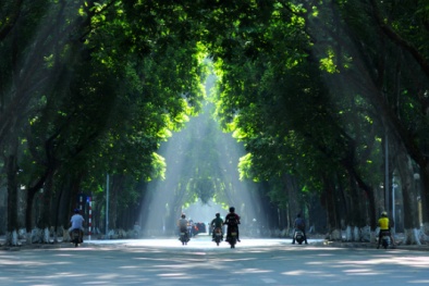 Hà Nội nghiên cứu công nghệ 3D, quản lý cây xanh trên máy tính