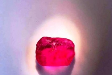 Người nhặt được đá đỏ bán 1 tỷ ở Nghệ An tiết lộ vẫn nhặt củi, làm thuê