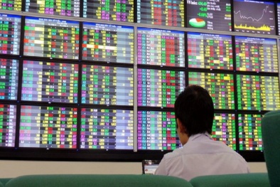 HoSE ngừng giao dịch, chưa biết thời gian mở cửa trở lại