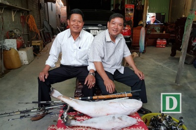 Cá sủ vàng bán 1,5 tỷ ở Nha Trang: Chuyên gia lý giải vì sao giá ‘khủng’