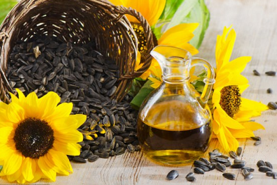 Dầu hướng dương, dầu cá tăng nguy cơ viêm gan, dẫn đến ung thư