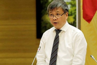 'Mô hình Ủy ban Quản lý vốn Nhà nước sẽ khác với SCIC'