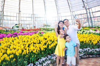 'Lạc lối tại Hà Lan' ở Vinpearl Nha Trang