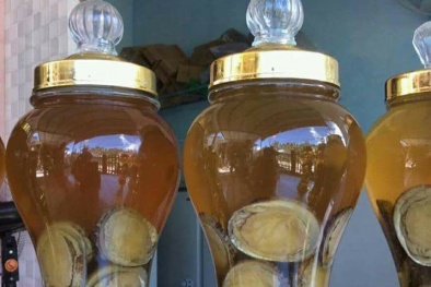 Rượu bào ngư chục triệu đồng/bình biếu Tết: Cẩn trọng mua phải hàng giả!