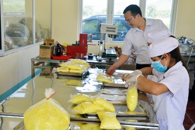 Nghị định 15 và những điều doanh nghiệp cần 'khắc cốt ghi tâm' 