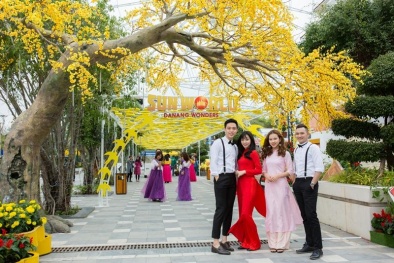 Vườn mai vàng rực rỡ mang Tết về Sun World Danang Wonders