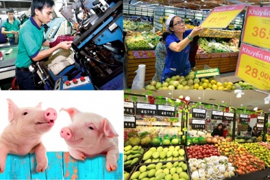 ‘Nét chấm phá’ trong bức tranh chất lượng hàng hóa và thị trường 2017