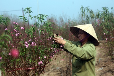 Mỗi mùa Tết qua đi, là bao nỗi niềm đọng lại!