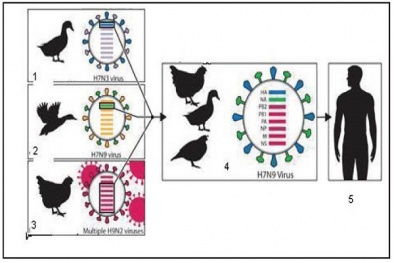 Cẩn trọng với bệnh cúm đặc biệt nguy hiểm này dịp đầu xuân