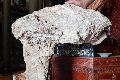 Khối gỗ nu hóa thạch quý hiếm nặng 140kg 'độc nhất vô nhị' có gì đặc biệt
