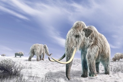 Mặt trời đang dần tối đi Trái đất sẽ phải hứng chịu thảm họa khủng khiếp