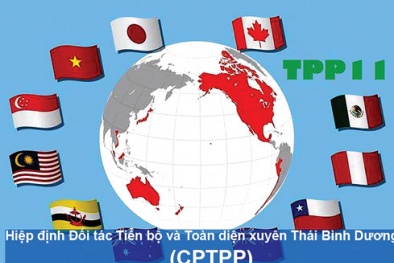 Nội dung chính thức của Hiệp định đối tác toàn diện và tiến bộ xuyên Thái Bình Dương