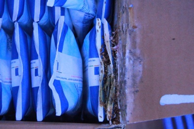 Vụ dòi ‘lúc nhúc’ trong thùng sữa: TH True Milk lên tiếng