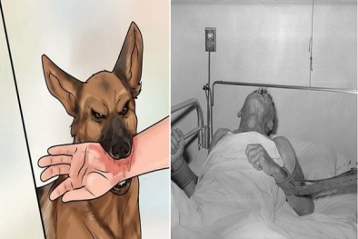 Đừng chủ quan với bệnh dại kẻo có ngày 'hối cũng không kịp'