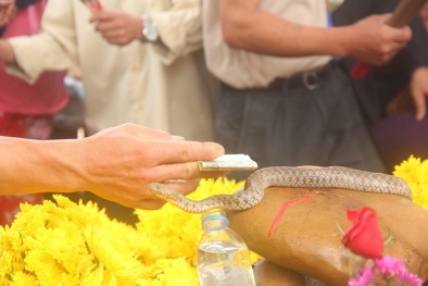 Rộ tin đồn ‘rắn thần’, ngôi mộ vô danh thu tiền phúng viếng 'khủng'