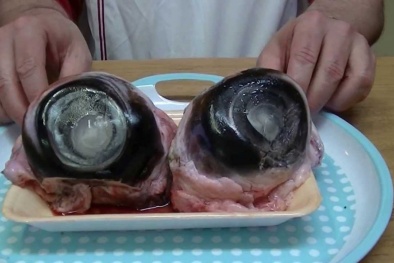 Mắt cá ngừ Phú Yên trông đáng sợ nhưng ăn béo ngậy, giá 120 nghìn đồng/kg