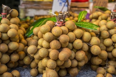 Cơ hội quả nhãn Việt Nam 'tung hoành' tại Australia vào năm 2019