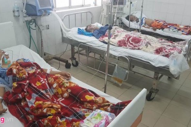 Ăn lẩu cá nóc nấu chua, cả 5 người nhập viện trong tình trạng nguy kịch