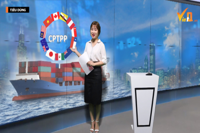 Bản tin Tiêu dùng: CPTPP và tác động đến nền kinh tế Việt Nam