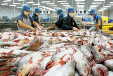 Lộ diện đại gia thâu tóm công ty thua lỗ trăm tỷ của ‘vua cá tra’ Hùng Vương