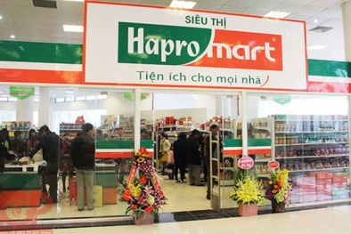 IPO Hapro: Khi 'miếng ngon' đã có chủ