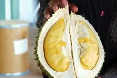 Sự thật về sầu riêng không mùi ‘thối’ khiến thị trường xôn xao