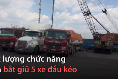 Bắt giữ 500 tấn chất thải nguy hại tại cảng Long Bình TP HCM