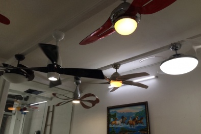 Cách chọn mua quạt trần để mùa hè vừa ‘mát rượi’ lại tiết kiệm điện năng