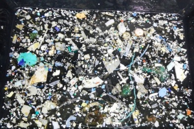 'Bãi rác Thái Bình Dương' đang tăng lên chóng mặt 'đe dọa' sức khỏe con người