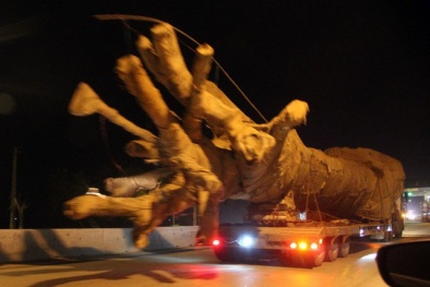 Vụ việc về cây 'quái thú', Công an điều tra những người liên quan 