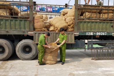 Bắt giữ xe ô tô vận chuyển 8.764 kg thuốc lá sấy khô không rõ nguồn gốc xuất xứ