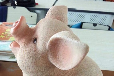 ‘Lợn ăn tiền, chó - mèo thần thái’ loạn giá gây ‘sốt’ chợ mạng