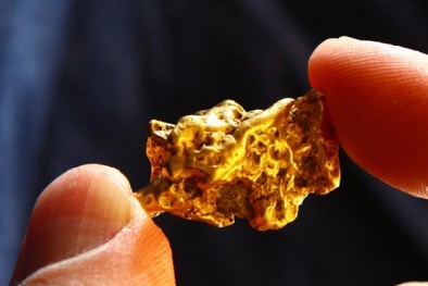 Phát hiện kinh ngạc vi khuẩn có thể ‘thải’ ra vàng nguyên chất