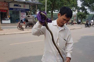 Hà Nội: Xôn xao rắn sống dài hơn 1,2m rơi từ trên cao xuống sảnh chung cư Linh Đàm