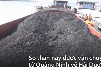 Cảnh sát biển bắt giữ tàu chở 1.200 tấn than không nguồn gốc