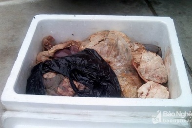 Nghệ An: Bắt giữ 30 kg nội tạng bốc mùi hôi thối trên xe khách