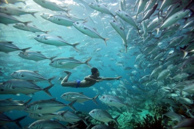 Tiết lộ những bí mật kinh ngạc về bộ tộc “người cá” có thật trên Trái Đất